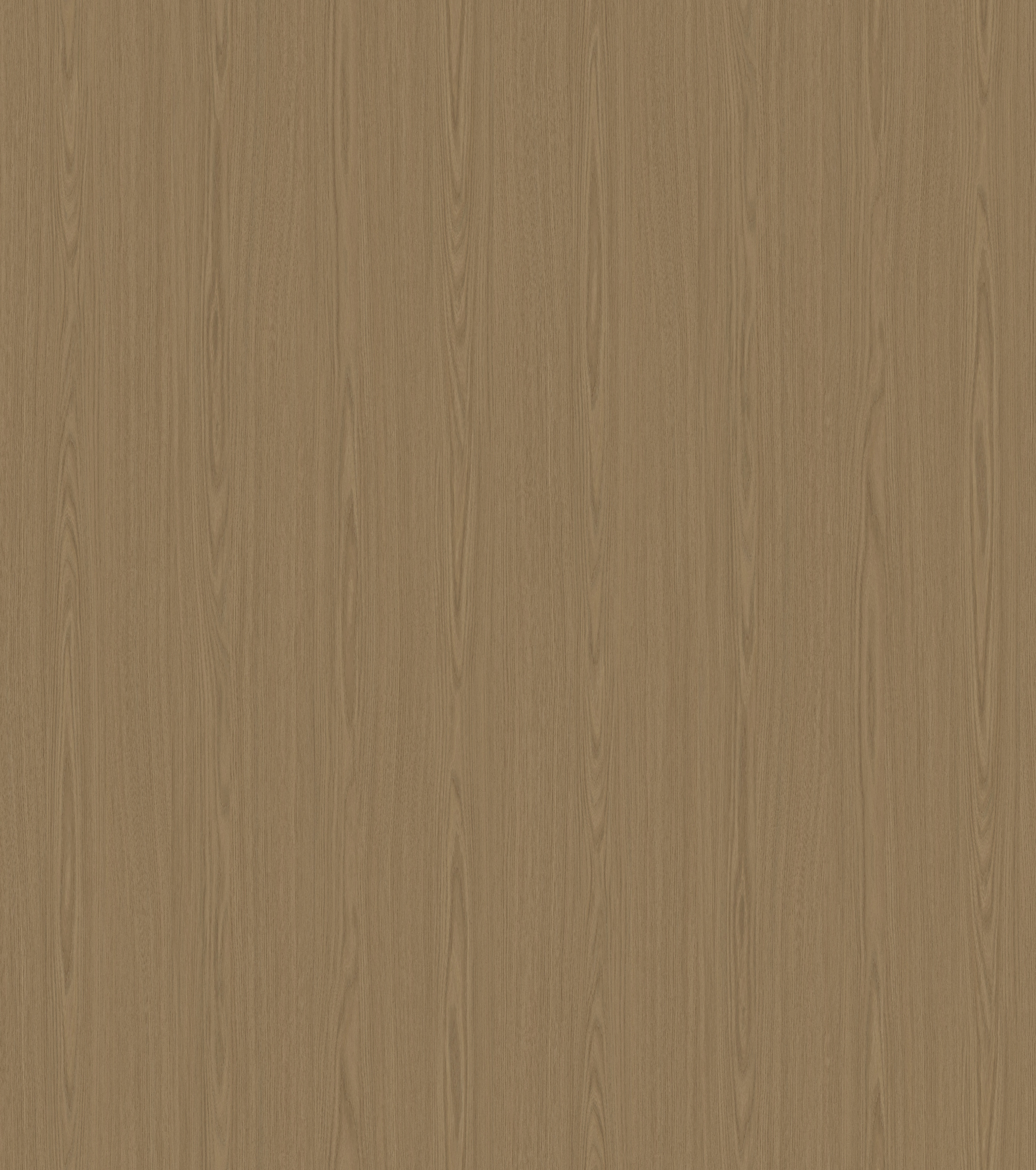Vanilla Elm