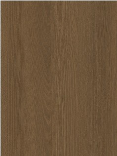 Sicily Elm