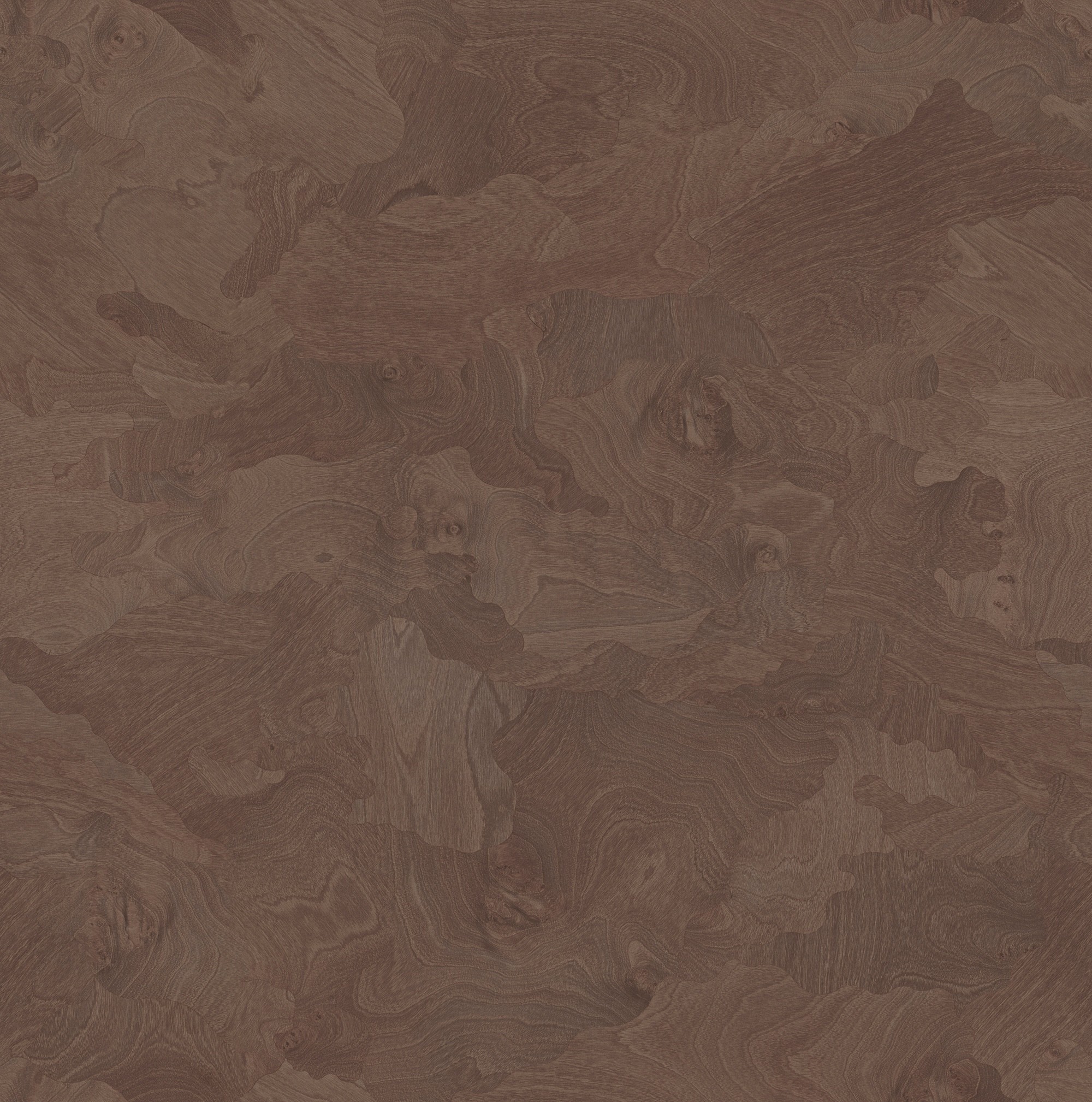 Sandalwood Burl